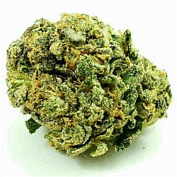 Culture based Dispensary, Culture based Dispensary,cbd-online4u.co.uk. Culture based Dispensary, CBD, hemp, health, dispensary, bud, weed, cannabis, legal weed, tea flowers,uk buy cbd,eBay,amozon, porn, CBD, hemp, health, dispensary, bud, weed, cannabis, legal weed, tea flowers, buy cbd, hemp, health, dispensary, bud, weed, cannabis, legal weed, Culture based Dispensary, cbd-online4u.co.uk. Culture based Dispensary, CBD, hemp, health, dispensary, bud, weed, cannabis, legal weed, tea flowers, buy cbd CBD, hemp, health, dispensary, bud, weed, cannabis, legal weed, tea flowers, buy cbd, cannabis, relaxation, health, cancer, illness, problems, high, canna, cannabinoid, grow, shop, grow shop, oil, shatter, haze, Ak47, of Kush, CHOCOLOPE, white widow, conspiracy, help, CBD oil, hemp oil, films, TV, radio, Facebook, tictok, porn, happy, job, eat out, near me, shopping, opening times, gold, silver, cheap, quality, pukka, dating, sex, the, and, is, 1,2,3,4,5,6,7,8,9,0,a,b,c,d,e,f,g,h,I,j,k,l,m,n,o,p,q,r,s,t,u,v,w,x,y,z, cdd,CBB,light,dark,male, female. flowers, buy cbd