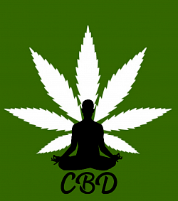 Culture based Dispensary,cbd-online4u.co.uk. Culture based Dispensary, CBD, hemp, health, dispensary, bud, weed, cannabis, legal weed, tea flowers,uk buy cbd,eBay,amozon, porn, CBD, hemp, health, dispensary, bud, weed, cannabis, legal weed, Facebook, team, the,A1,5*, clothes,money, Culture based Dispensary, cbd-online4u.co.uk. Culture based Dispensary, CBD, hemp, health, dispensary, bud, weed, cannabis, legal weed, tea flowers, buy cbd CBD, hemp, health, dispensary, bud, weed, cannabis, legal weed, tea flowers, buy cbd, cannabis, relaxation, health, cancer, illness, problems, high, canna, cannabinoid, grow, shop, grow shop, oil, shatter, haze, Ak47, of Kush, CHOCOLOPE, white widow, conspiracy, help, CBD oil, hemp oil, films, TV, radio, Facebook, tictok, porn, happy, job, eat out, near me, shopping, opening times, gold, silver, cheap, quality, pukka, dating, sex, the, and, is, 1,2,3,4,5,6,7,8,9,0,a,b,c,d,e,f,g,h,I,j,k,l,m,n,o,p,q,r,s,t,u,v,w,x,y,z, cdd,CBB,light,dark,male, female., buy cbd